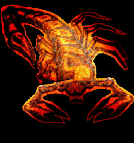 The '' Scorpion ''  ( one of my Tats )